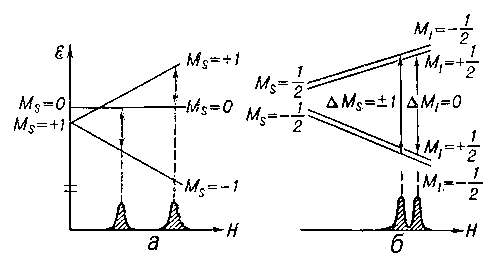 Рис. 3. а — тонкая структура спектра ЭПР. Для случая S = 1 наблюдаются две линии поглощения в результате расщепления уровней при Н = 0; б — сверхтонкая структура спектра ЭПР.