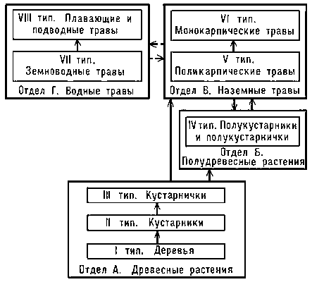 Рис. 2. Соотношение отделов и типов жизненных форм покрытосеменных растений.