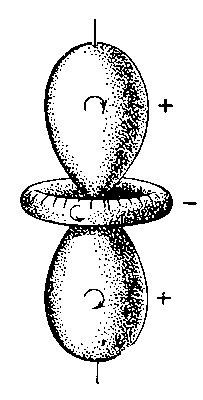 Рис. 5. Поверхность, описывающая оптическую активность кристалла кварца; знаки (+) и (-) указывают противоположные направления вращения плоскости поляризации.