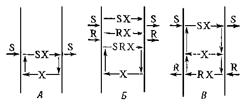 Рис. 2. Механизмы вторичной транслокации: S и R — субстраты, Х — переносчик; А — унипорт, Б — симпорт, В — антипорт.