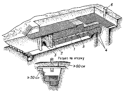 Рис. 2. Противорадиационное укрытие из лесоматериалов: 1 — помещение для укрываемых людей; 2 — занавесы на входе; 3 — ниша для выносной тары; 4 — покрытие и одежда стен из подтоварника; 5 — скамьи для укрываемых людей; 6 — вытяжной короб.