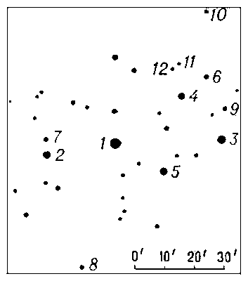 Плеяды. Наиболее яркие звёзды (в скобках указаны визуальные звёздные величины): 1 — Альциона, или η Тельца (2,87); 2 — Атлас (3,64); 3 — Электра (3,71); 4 — Майя (3,88); 5 — Меропа (4,18); 6 — Тайгета (4,31); 7 — Плейона (5,09); 8 — (5,45); 9 — Целено (5,46); 10 — (5,65); 11 — Астеропа I (5,76); 12 — Астеропа II (6,16).
