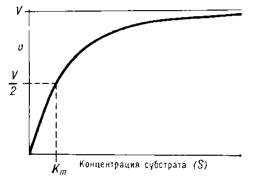 Зависимость скорости ферментативной реакции (υ)от концентрации субстрата [S].