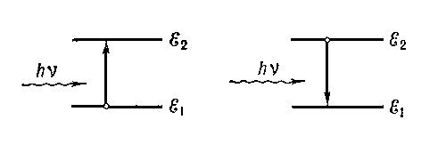 Рис. 2. а — квантовые переходы, соответствующие поглощению волны; б — переходы, соответствующие вынужденному излучению.