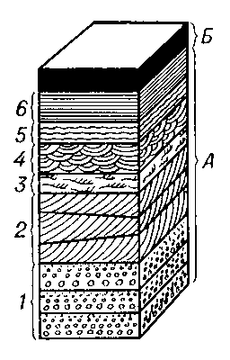 Типы слоистости горных пород. А — пласт песчаника, разделяющийся на слои (1—6) с различными типами слойчатости, или внутренней слоистости: 1 — ритмически-сортированная горизонтальная, 2 — косая, 3 — косоволнистая; 4 — волнистая; 5 — пологоволнистая; 6 — горизонтальная; Б — неслоистая глина.
