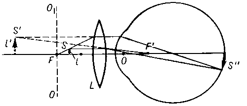 Рис. 1. Ход лучей при рассматривании небольшого предмета l в лупу L. Предмет помещают в непосредственной близости от фокальной плоскости лупы OO1. Лучи, исходящие из точки S предмета, собираются в точке S