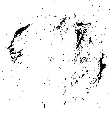 Тонковолокнистая туманность — остаток вспышки сверхновой: Петля в Лебеде (изображение негативное).