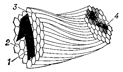 Поэлементная передача изображения волоконной деталью: 1 — изображение, поданное на входной вогнутый торец; 2 — светопроводящая жила; 3 — изолирующая прослойка; 4 — мозаичное изображение, переданное на выходной торец.