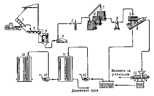 Реферат: Вина