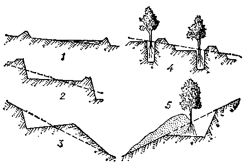 Виды террас: 1 — гребневые; 2 и 3 — ступенчатые; 4 — траншейные; 5 — террасы-канавы.