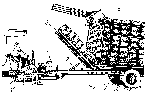 Тюкоподборщик-укладчик: 1 — подбирающий механизм; 2 — гидроцилиндр подъема платформы; 3 — тюкоприемник; 4 — подъемная платформа; 5 — накопительная платформа.