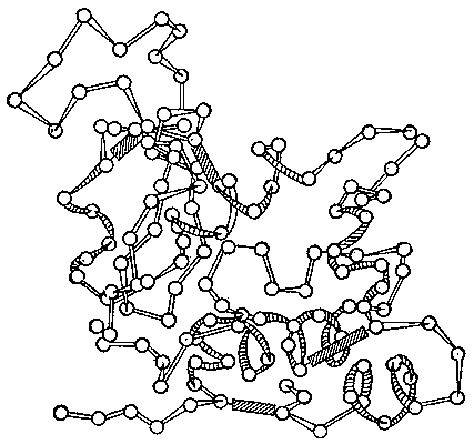 Рис. 2. Схема трёхмерной структуры фермента лизоцима. Кружки — аминокислоты; тяжи — пептидные связи; заштрихованные прямоугольники — дисульфидные связи. Видны спирализованные и вытянутые участки полипептидной цепи.