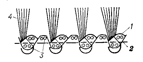 Рис. 4. Структура трубчатых ковров: 1 — коренная основа; 2 — настилочная основа; 3 — уток; 4 — пучки ворсовой основы.