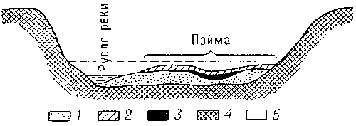Схема строения аллювия равнинной реки. 1, 2, 3 — аллювий: русловой, пойменный, старичный; 4 — коренные породы склонов и дна речной долины; 5 — уровень воды во время половодья.