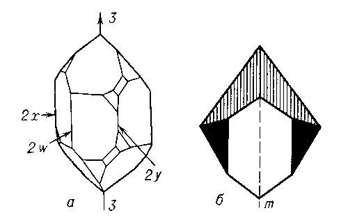 Рис. 1. а — кристалл кварца: 3 — ось симметрии 3-го порядка, 2x ,2y, 2w — оси второго порядка; б — кристалл водного метасиликата натрия: m — плоскость симметрии.