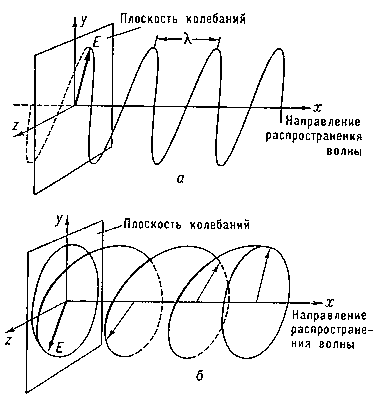 Рис. 8. а — линейно-поляризованная волна; б — волна, поляризованная по кругу (Е — вектор, изображающий распространяющееся возмущение).