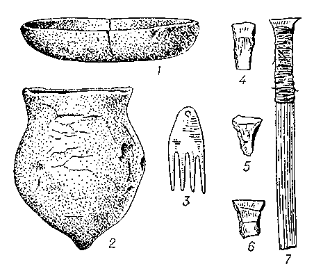 Культура Эртебёлле: 1, 2 — керамика; 3 — костяной гребень; 4—7 — каменные стрелы.