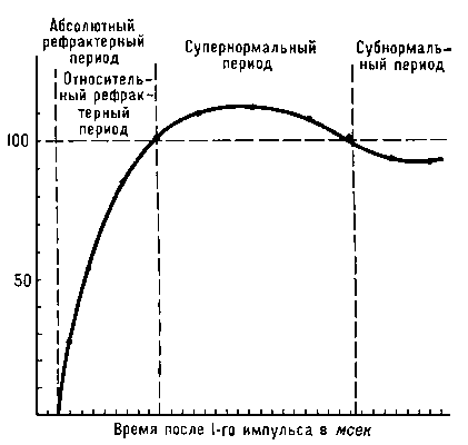Что такое рефрактерность и когда она наблюдается. Смотреть фото Что такое рефрактерность и когда она наблюдается. Смотреть картинку Что такое рефрактерность и когда она наблюдается. Картинка про Что такое рефрактерность и когда она наблюдается. Фото Что такое рефрактерность и когда она наблюдается