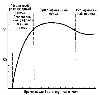Рис. к ст. Рефрактерность.