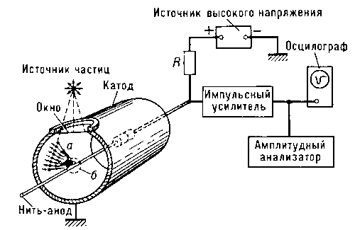 Схема пропорционального счетчика : а — область дрейфа электронов; б — область газового усиления.