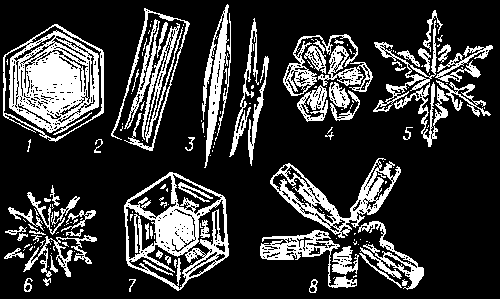 Типичные формы снежных кристаллов: 1 — пластинка; 2 — столбик; 3 — иглы; 4 — звезда с 6 пластинчатыми лучами; 5 — звезда с 6 игольчатыми лучами; 6 — звезда с 12 лучами; 7 — пластинка сложного строения; 8 — комплекс столбиков («ёж»).