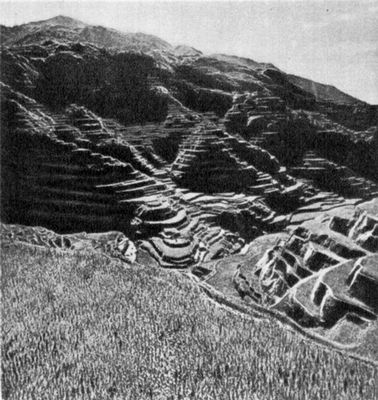 Рисовые поля на террасированных склонах на о. Лусон. Филиппины.