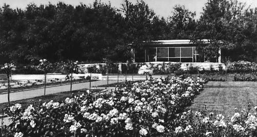Главный ботанический сад. Розарий и павильон цветов.