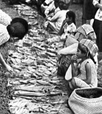 Восточная Малайзия (Сабах). Разделка рыбы для продажи на рыбном рынке в г. Туаран.