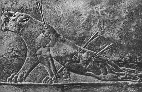 Умирающая львица. Фрагмент рельефа из дворца царя Ашшурбанипала в Ниневии. 669 — ок. 635 до н. э. Британский музей. Лондон.