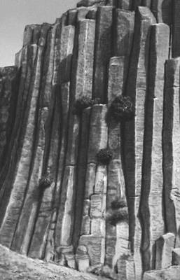 Выветривание.Базальтовые столбы в окрестностях Еревана (Армянская ССР).