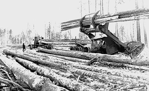 Отгрузка леса на одном из участков Катангарского лесопромышленного комбината объединения «Читалес». Читинская область.