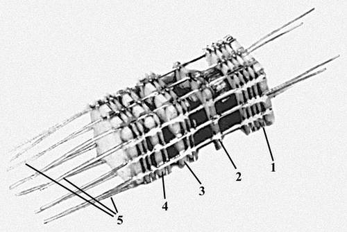 Рис. 1а. Этажерочный микромодуль — тригер до герметизации (1, 2, 3, 4 — микроэлементы — платы соответственно с резистором, транзистором, полупроводниковыми диодами, конденсатором, 5 — выводы — проводники, соединяющие микроэлементы).