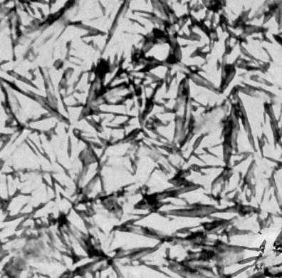 Рис. 2е. Типичные структуры железоуглеродистых сплавов. Сталь с 0,85% С (пластины мартенсита и остаточный аустенит). Увеличено в 500 раз.