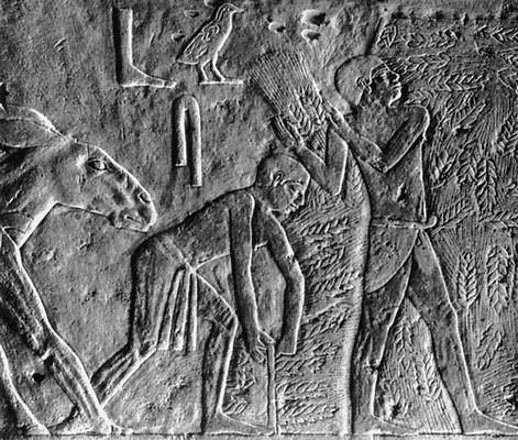 Древнеегипетский рельеф с изображением полевых работ. Известняк. Середина 3-го тысячелетия до н. э. Лувр. Париж.