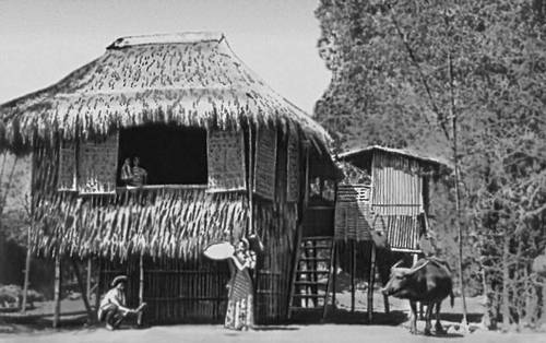 Филиппинское традиционное народное жилище из бамбука и пальмовых листьев.