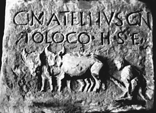 Надгробия с изображением сцен из сельской жизни. около 1 в. н. э. Ватиканские музеи, Рим.