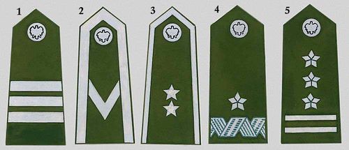 Войско Польское: 1. Старший капрал. 2. Сержант. 3. Старший хорунжий. 5. Генерал бригады. 6. Полковник.