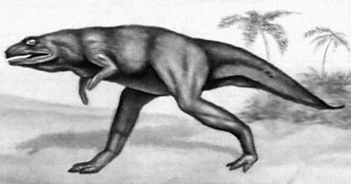 Мегалозавр (из карнозавров).