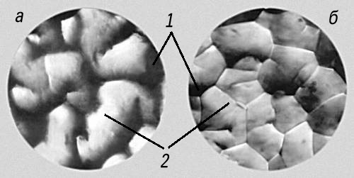 Микрофотографии участков печатной формы (до нанесения краски): а — темные участки; б — светлые участки; 1 — углубления между складками; 2 — 2 складки.