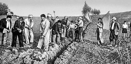 Крестьяне Южной Италии на земле, отобранной у помещиков. 1950.