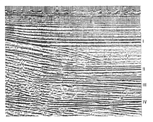 Рис. 3. Сейсмологический временной разрез (цифрами показаны отражающие границы по горизонтам): I — мел; II — триас; III — карбон; IV — девон.