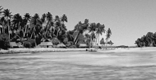 Атолл Маракеи в группе островов Гилберта. Деревня с плантациями кокосовых пальм.