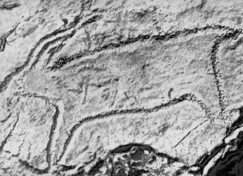 Наскальное процарапанное изображение животного в Кильве. Поздний палеолит.
