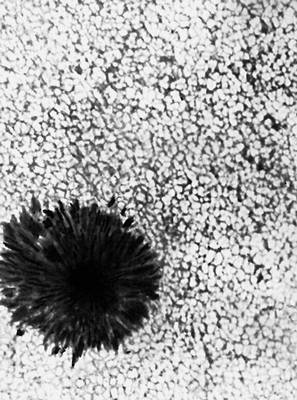 Рис. 2. Фотография грануляции и солнечного пятна; получена с помощью стратосферного телескопа (СССР).