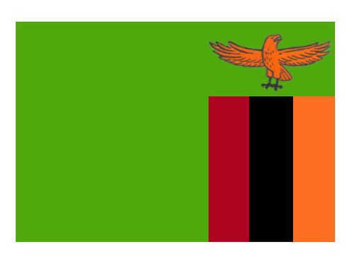 Флаг государственный. Замбия.