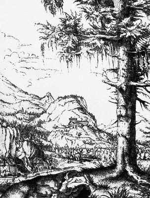 А. Альтдорфер. «большое дерево». Офорт. Ок. 1522—25.