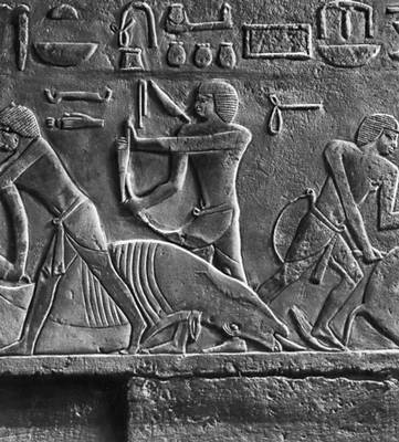 Рельеф гробницы принцессы Идут в Саккаре. Середина 3-го тыс. до н. э.