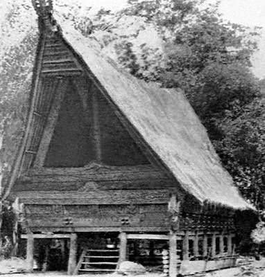 Деревянная архитектура. Жилой дом. Суматра.