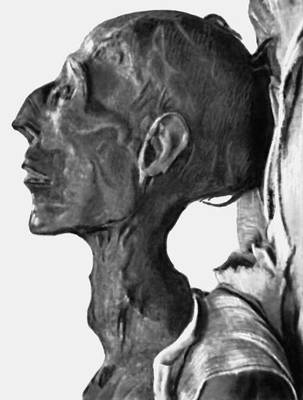 Голова мумии фараона Рамсеса II (1317—1251 до н. э.). Музей в Каире.