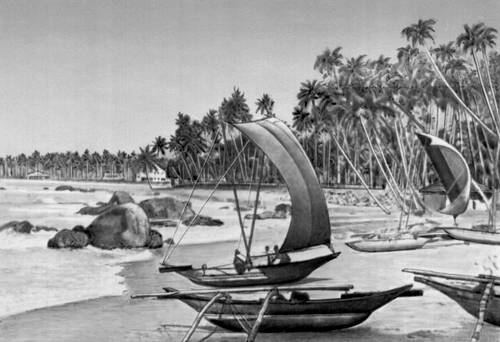 Шри-Ланка. Рыбацкие лодки на западном побережье острова.